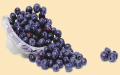 Фиолетовые плоды