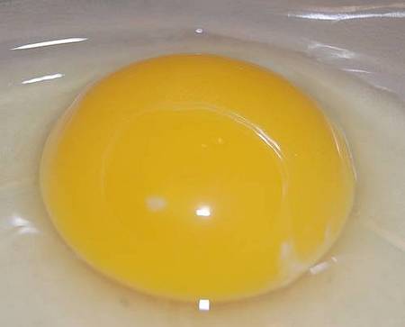 Желток яйца содержит фосфор