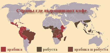 Карта где и какой выращивают кофе